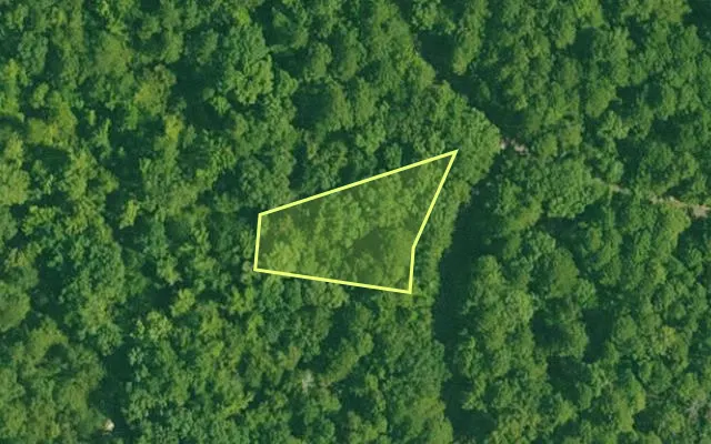 Aerial view of GARLAND County parcel 67128 — Arkansas post-auction with approximate parcel outline