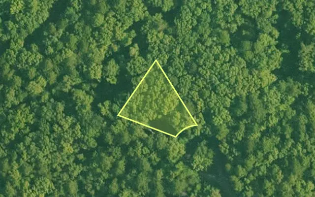 Aerial view of SALINE County parcel 736-00144-000 — Arkansas post-auction with approximate parcel outline