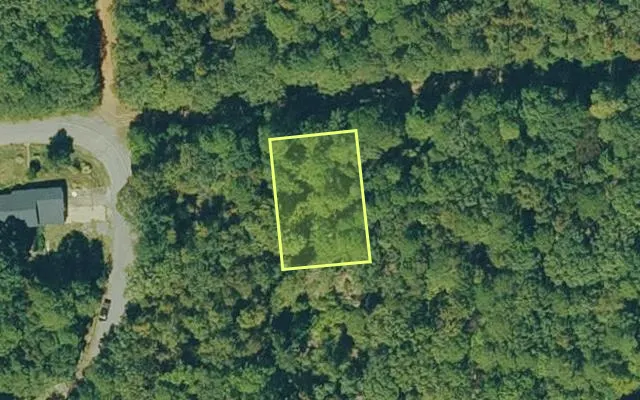 Aerial view of CLEBURNE County parcel 600-03768-000 — Arkansas post-auction with approximate parcel outline