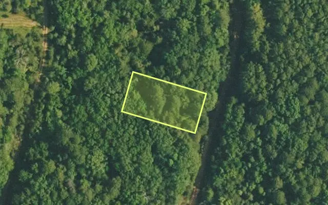 Aerial view of VAN BUREN County parcel 4200-02350-0000 — Arkansas post-auction with approximate parcel outline