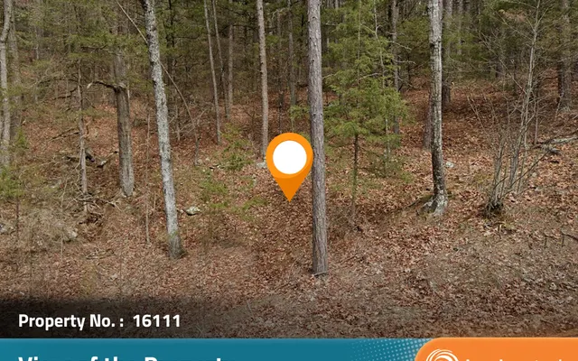 LandCentral listing preview for 0.26 acres in Van Buren, AR — 16111