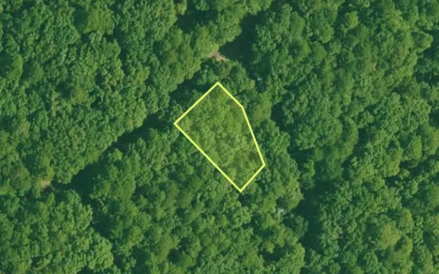 Aerial view of GARLAND County parcel 59796 — Arkansas post-auction with approximate parcel outline
