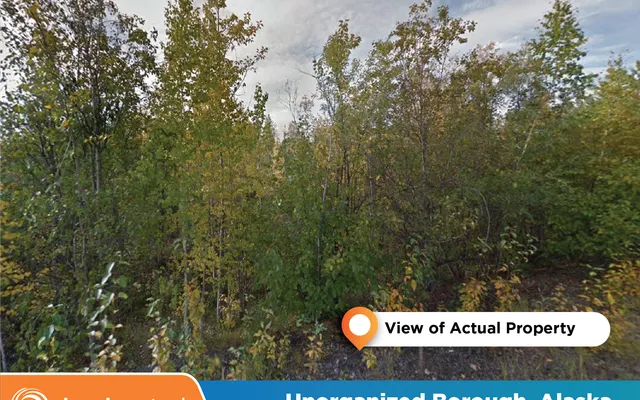 LandCentral listing preview for 3.75 acres in Unorganized Borough, AK — 11252