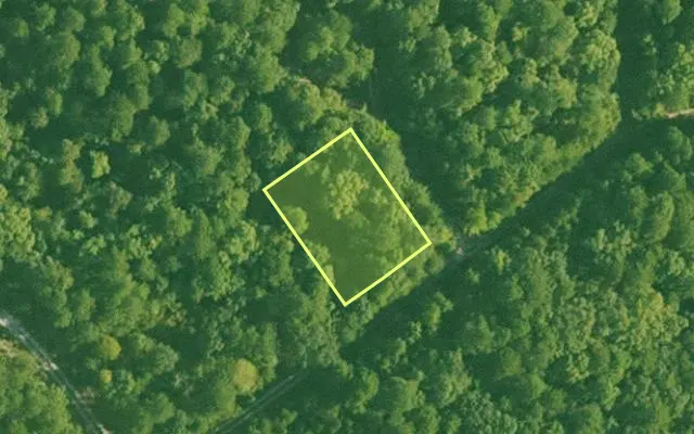 Aerial view of SALINE County parcel 768-00085-000 — Arkansas post-auction with approximate parcel outline