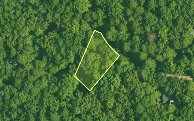 Aerial view of SALINE County parcel 456-00227-000 — Arkansas post-auction with approximate parcel outline