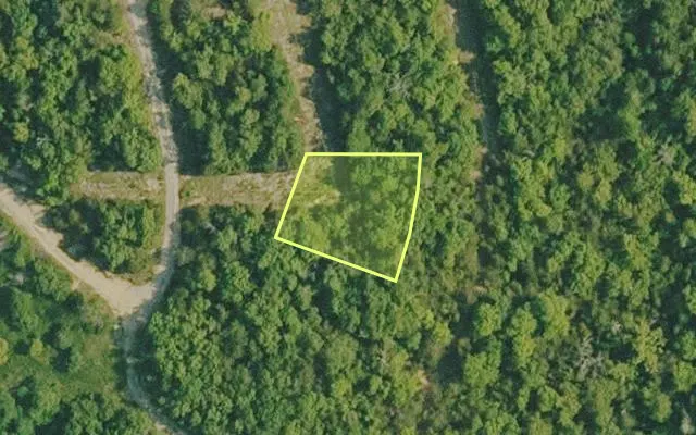 Aerial view of BAXTER County parcel 010-00786-000 — Arkansas post-auction with approximate parcel outline