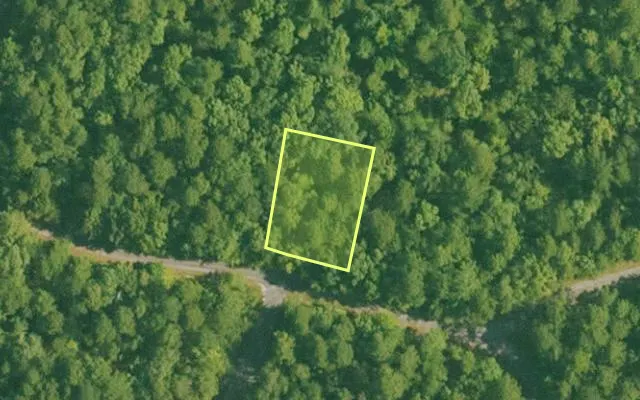 Aerial view of SALINE County parcel 736-00177-000 — Arkansas post-auction with approximate parcel outline