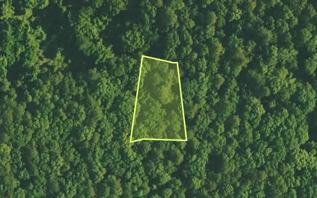 Aerial view of VAN BUREN County parcel 4400-20269-0000 — Arkansas post-auction with approximate parcel outline