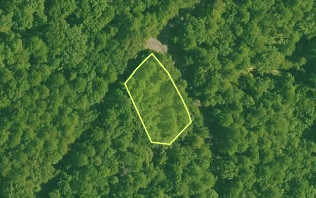 Aerial view of SALINE County parcel 536-00067-000 — Arkansas post-auction with approximate parcel outline