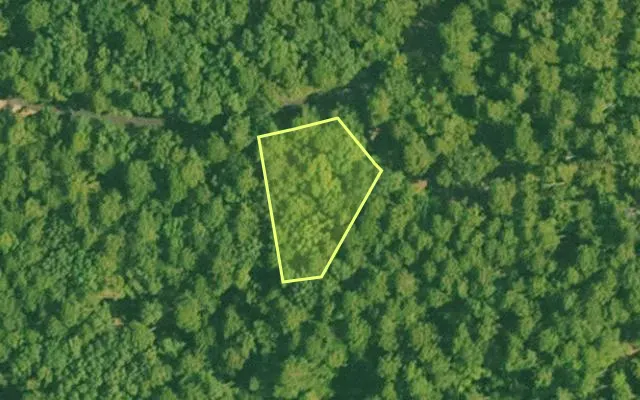 Aerial view of SALINE County parcel 456-00109-000 — Arkansas post-auction with approximate parcel outline