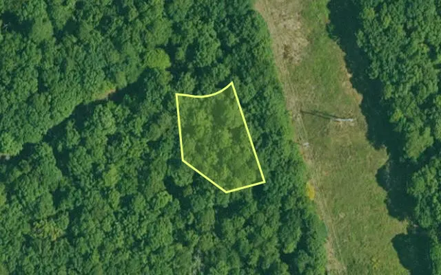 Aerial view of GARLAND County parcel 62075 — Arkansas post-auction with approximate parcel outline