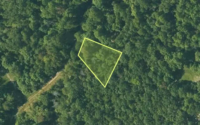 Aerial view of FULTON County parcel 160-12410-000 — Arkansas post-auction with approximate parcel outline