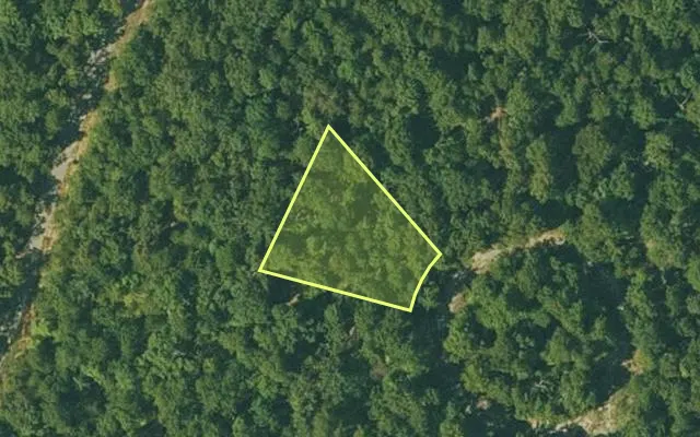 Aerial view of FULTON County parcel 350-19645-000 — Arkansas post-auction with approximate parcel outline