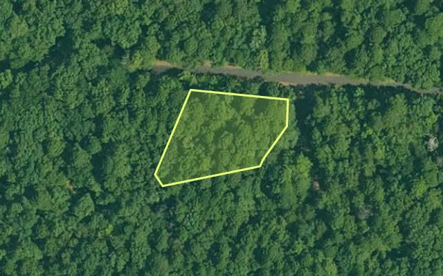 Aerial view of GARLAND County parcel 61972 — Arkansas post-auction with approximate parcel outline