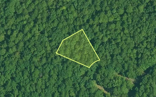 Aerial view of GARLAND County parcel 64651 — Arkansas post-auction with approximate parcel outline
