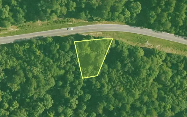 Aerial view of SALINE County parcel 596-00088-000 — Arkansas post-auction with approximate parcel outline