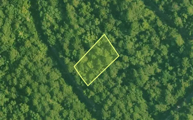 Aerial view of SALINE County parcel 496-00038-000 — Arkansas post-auction with approximate parcel outline