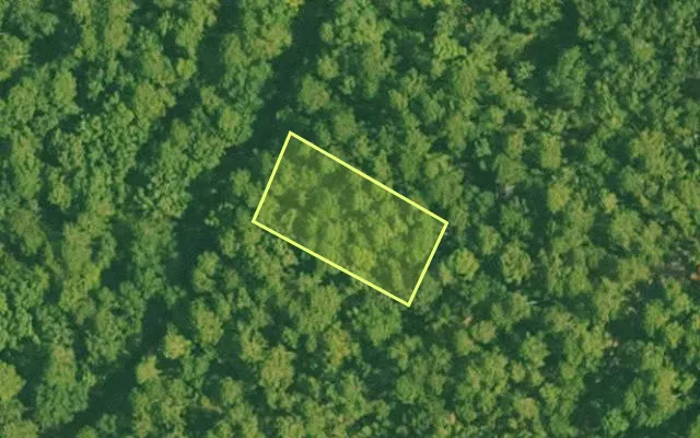 Aerial view of SALINE County parcel 456-00118-000 — Arkansas post-auction with approximate parcel outline