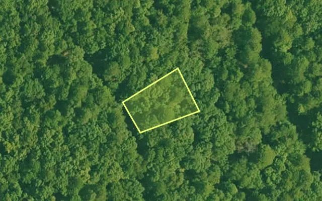 Aerial view of GARLAND County parcel 60052 — Arkansas post-auction with approximate parcel outline