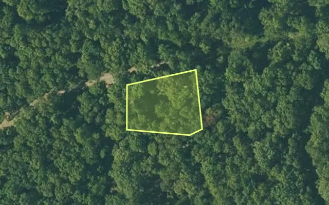 Aerial view of FULTON County parcel 240-15215-000 — Arkansas post-auction with approximate parcel outline