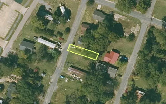 Aerial view of CHICOT County parcel 030-01689-000 — Arkansas post-auction with approximate parcel outline