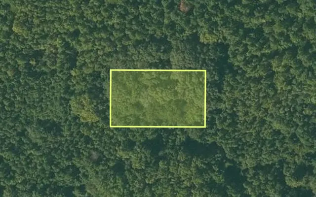 Aerial view of CHICOT County parcel 050-03864-000 — Arkansas post-auction with approximate parcel outline
