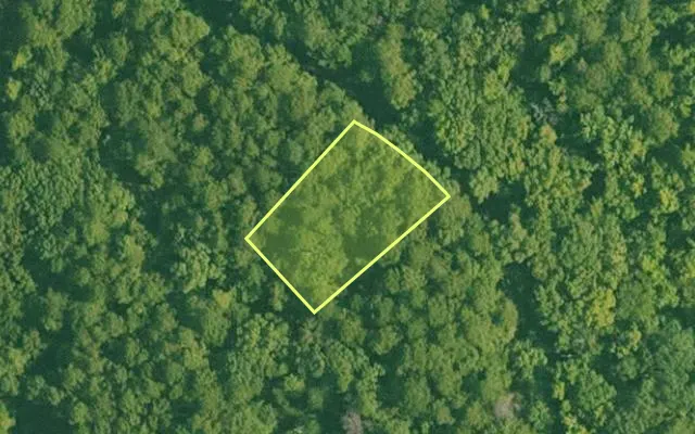 Aerial view of SALINE County parcel 588-00046-000 — Arkansas post-auction with approximate parcel outline