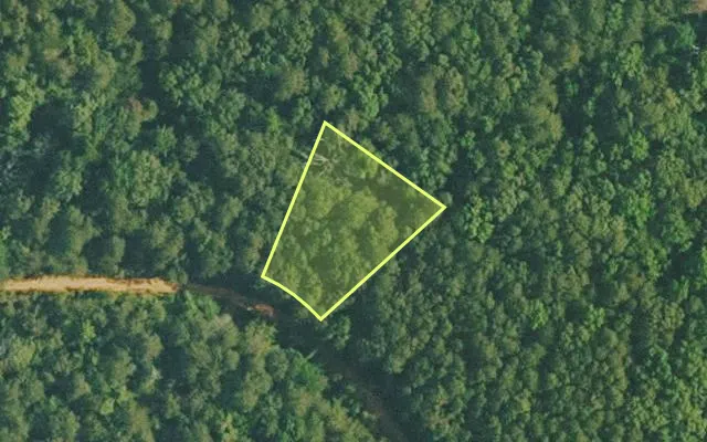 Aerial view of VAN BUREN County parcel 4200-01081-0000 — Arkansas post-auction with approximate parcel outline