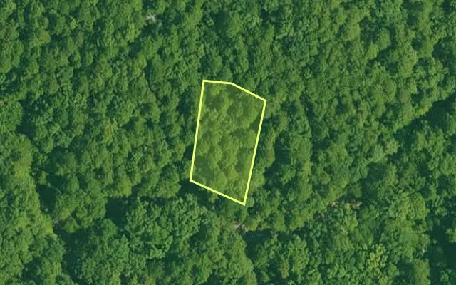 Aerial view of GARLAND County parcel 65966 — Arkansas post-auction with approximate parcel outline