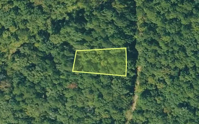 Aerial view of VAN BUREN County parcel 4300-03024-0000 — Arkansas post-auction with approximate parcel outline