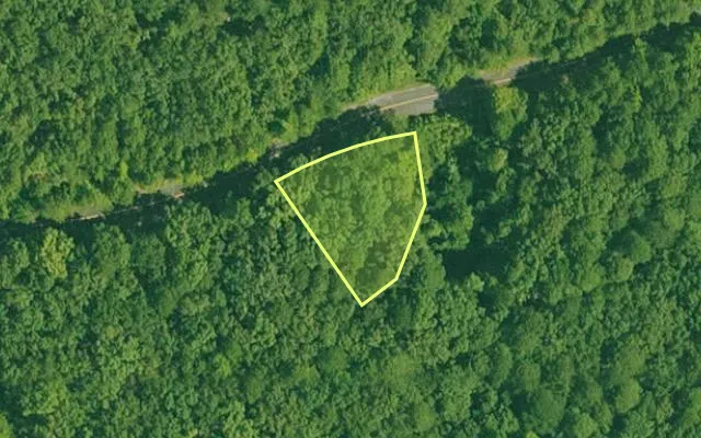 Aerial view of GARLAND County parcel 60214 — Arkansas post-auction with approximate parcel outline