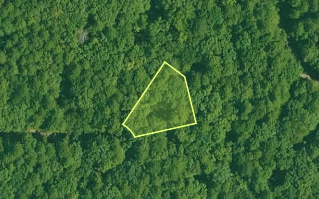 Aerial view of GARLAND County parcel 66417 — Arkansas post-auction with approximate parcel outline