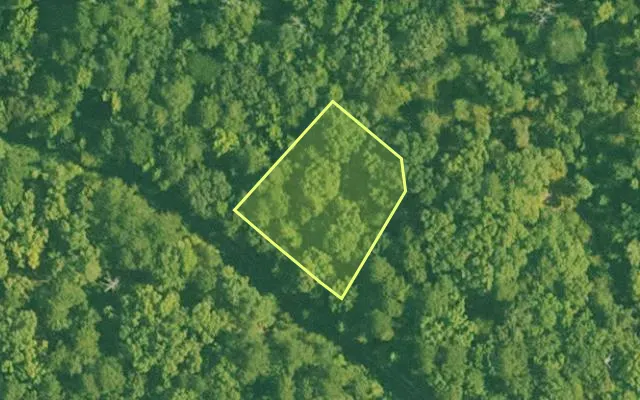 Aerial view of SALINE County parcel 608-00060-000 — Arkansas post-auction with approximate parcel outline