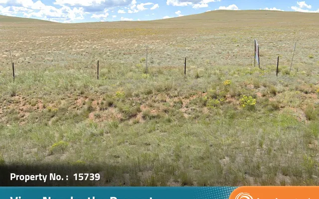 LandCentral listing preview for 5 acres in Park, CO — 15739