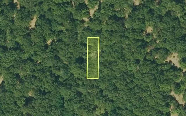 Aerial view of IZARD County parcel 800-06193-000 — Arkansas post-auction with approximate parcel outline