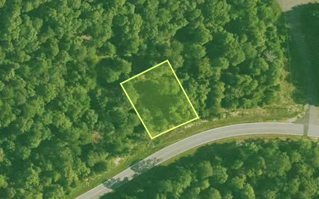 Aerial view of SALINE County parcel 596-00096-000 — Arkansas post-auction with approximate parcel outline