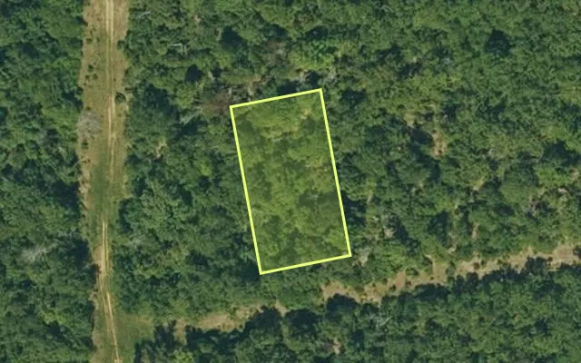 Aerial view of IZARD County parcel 800-04284-000 — Arkansas post-auction with approximate parcel outline