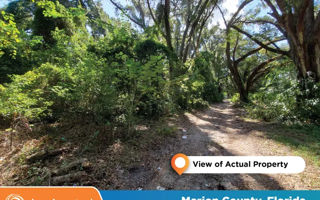 LandCentral listing preview for 0.17 acres in Marion, FL — 11477