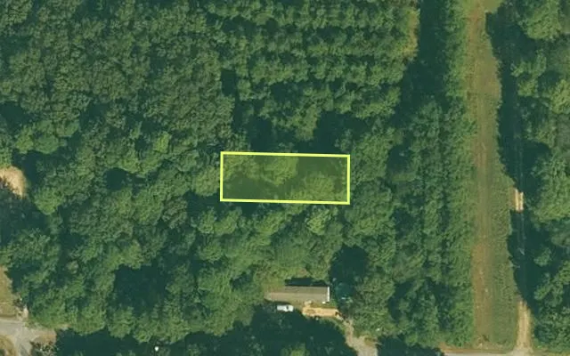 Aerial view of DREW County parcel 113-00030-000 — Arkansas post-auction with approximate parcel outline