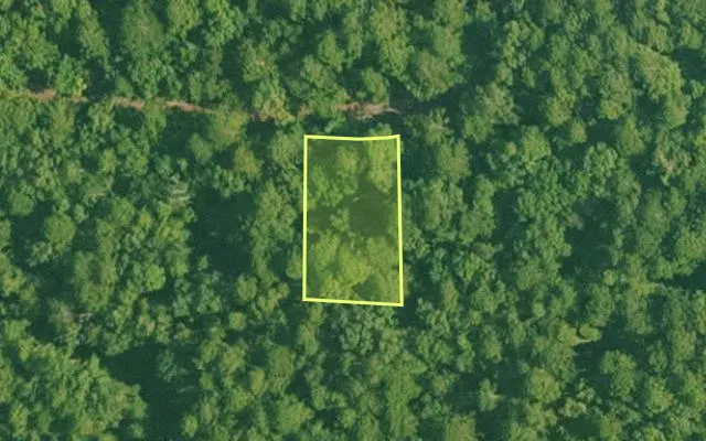 Aerial view of SALINE County parcel 428-00113-000 — Arkansas post-auction with approximate parcel outline