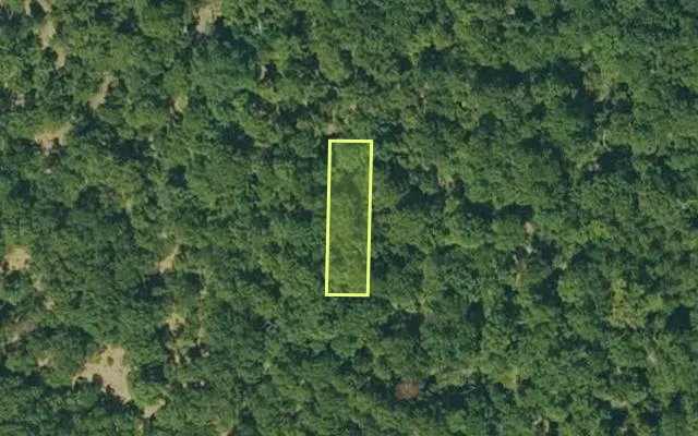 Aerial view of IZARD County parcel 800-06165-000 — Arkansas post-auction with approximate parcel outline