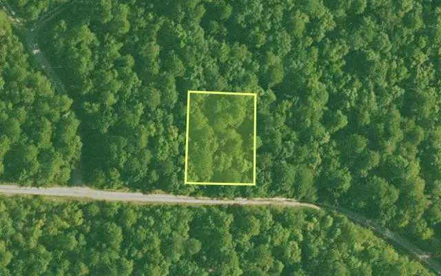 Aerial view of SALINE County parcel 748-00098-000 — Arkansas post-auction with approximate parcel outline