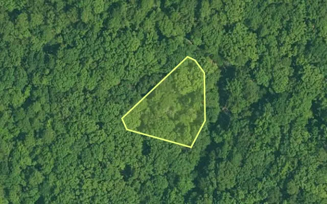 Aerial view of GARLAND County parcel 72793 — Arkansas post-auction with approximate parcel outline