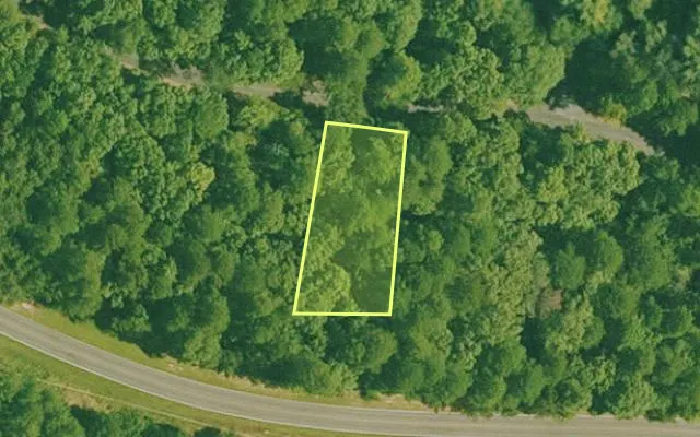 Aerial view of SALINE County parcel 772-00061-000 — Arkansas post-auction with approximate parcel outline