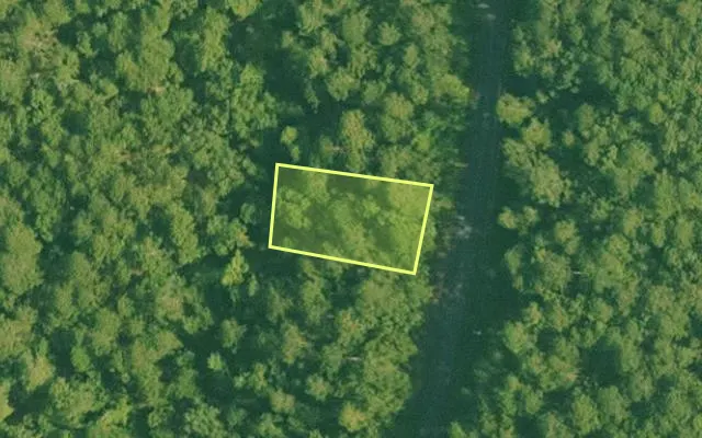 Aerial view of SALINE County parcel 524-00004-000 — Arkansas post-auction with approximate parcel outline
