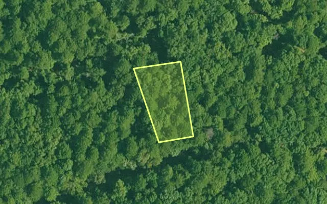 Aerial view of GARLAND County parcel 60753 — Arkansas post-auction with approximate parcel outline