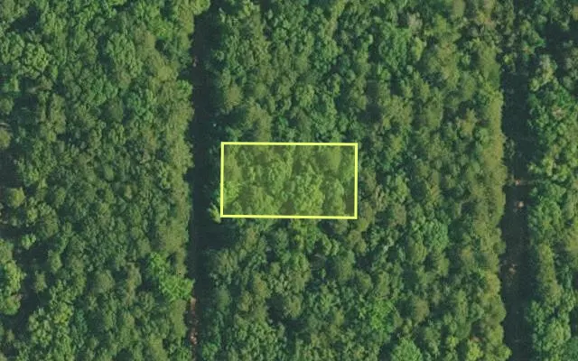 Aerial view of VAN BUREN County parcel 4200-02295-0000 — Arkansas post-auction with approximate parcel outline