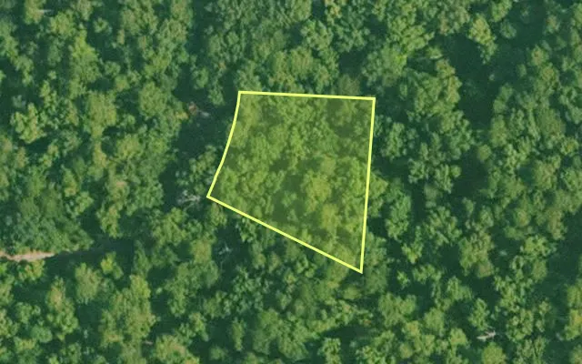 Aerial view of SALINE County parcel 688-00078-000 — Arkansas post-auction with approximate parcel outline