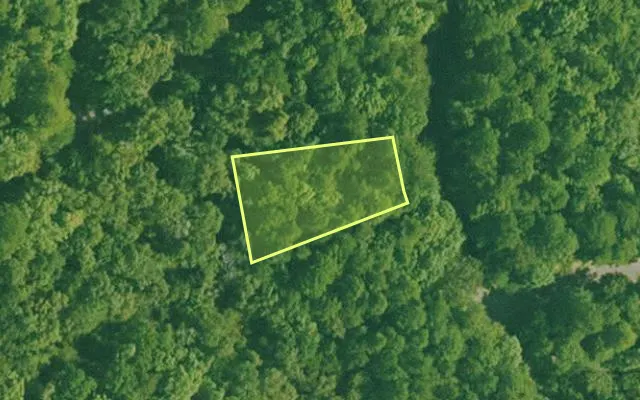 Aerial view of SALINE County parcel 688-00100-000 — Arkansas post-auction with approximate parcel outline
