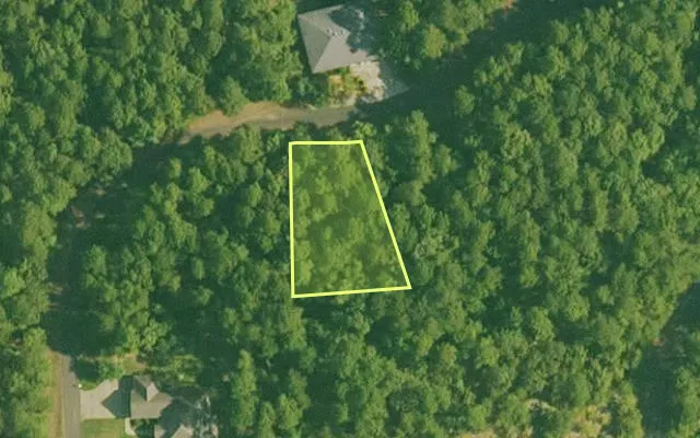 Aerial view of SALINE County parcel 420-00101-000 — Arkansas post-auction with approximate parcel outline